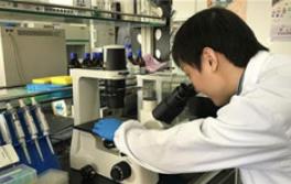 上海市每万人口高价值发明专利拥有量达67.6件