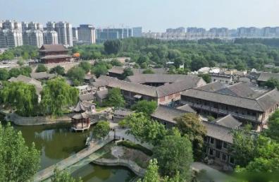 阿胶之乡山东东阿：产业兴实业旺，古邑新文脉长