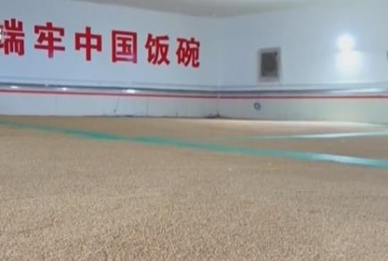 超4.5万亿元、超180万吨……守住管好“大国粮仓” 保障国家粮食安全