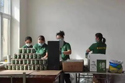 内蒙古扎赉特旗：蒙榛喜丰收小小“致富果”撑起富民产业