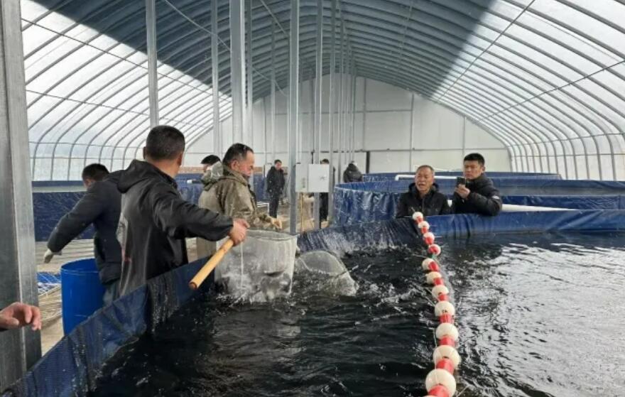 甘肃榆中开辟冷水渔业提质增效新路径