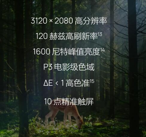 20261005201334484.jpg