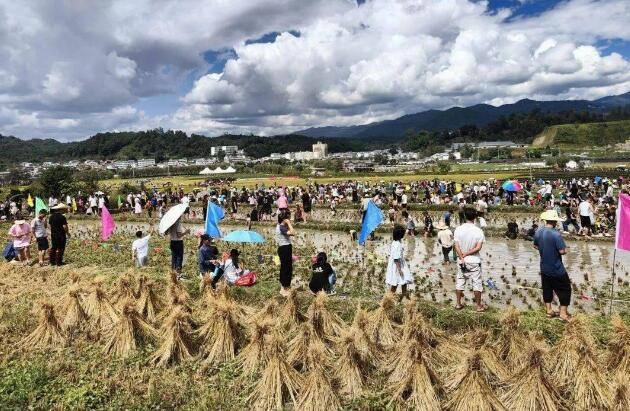 云南凤庆：一田串多业，“摸”出致富路