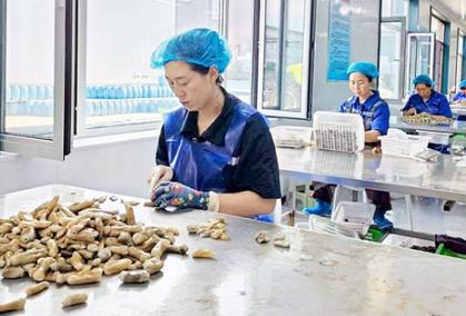 黑龙江甘南“三路并进”林下掘金 今年林下经济产值有望突破3亿元