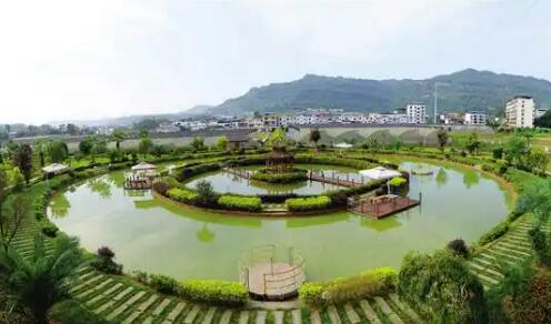 重庆市万州区：三峡沃土绘新景 乡村振兴谱新篇