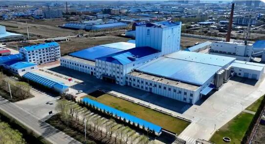 黑龙江省嫩江市以优质招商服务激活县域产业新动能