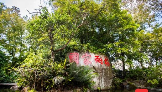 5年，首批国家公园建设成效如何？
