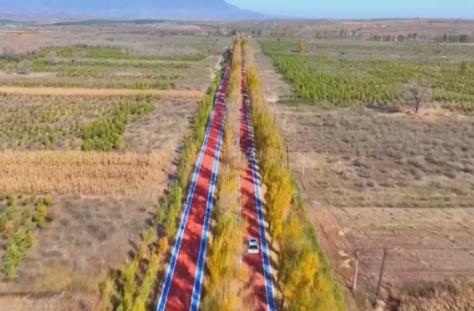 秋色一路蔓延催热“错峰赏秋游” 可参与、可体验、可互动……特色资源点亮秋日文旅