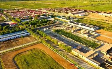 内蒙古乌拉特前旗：乡土人才引领产业发展