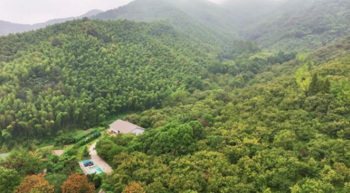 江苏常州：良种出深山 林场焕新机