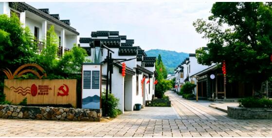 田间赋能 庭院生金 南京栖霞“她力量”绘就乡村振兴新图景