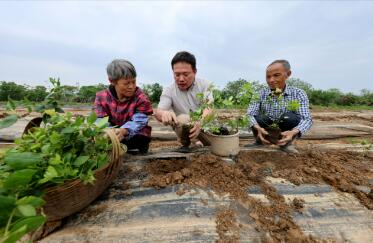 宁夏石嘴山市：加强人才培养、评价、使用 建强乡土人才队伍