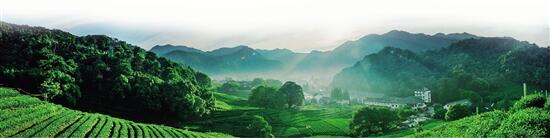 助推产业“绿富美” 中行浙江省分行推动绿色金融可持续发展