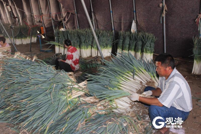 5块钱买了3棵葱，葱姜价格为何一路上涨？记者探访发现…