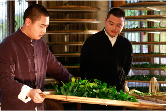 秉承匠心精神 溪谷留香创始人传播千年制茶工艺