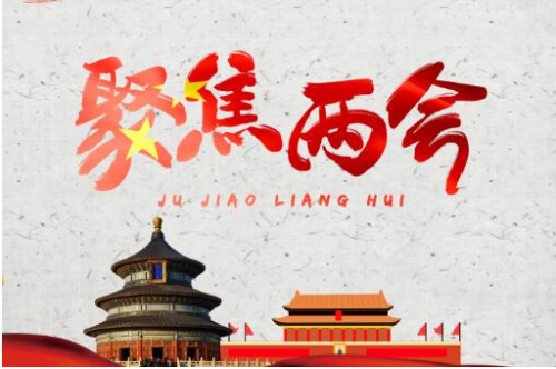 两会看点：未来“互联网+”仍是趋势 佰材网顺势而为