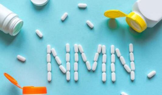 超级大牌诞生 NMN行业新格局已定