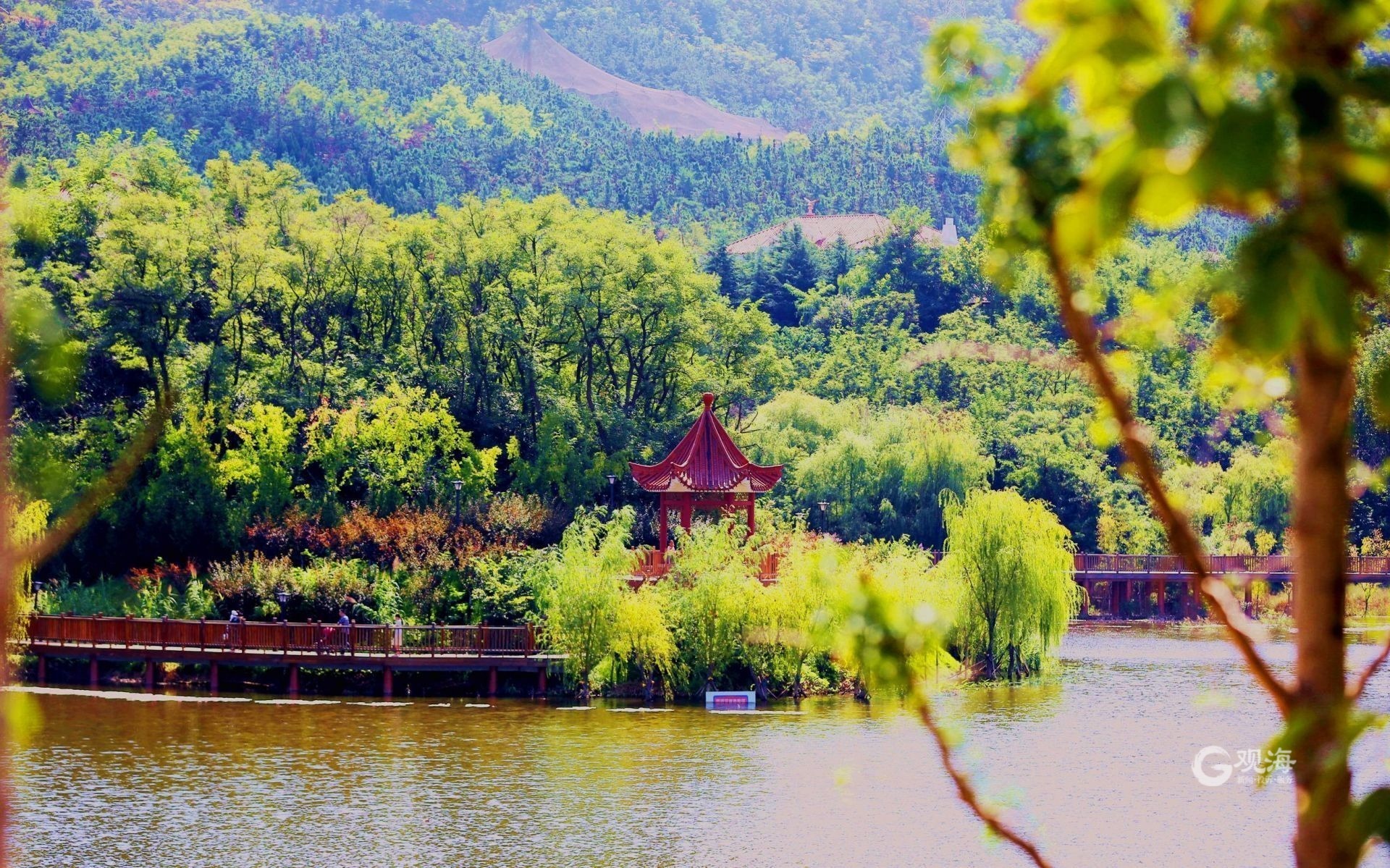 践行海绵城市理念，新增绿化面积10万平方米!李沧:城市品质“内外兼修”