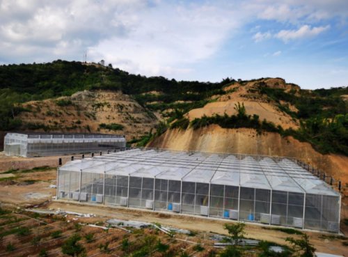 联塑农业布局智慧化农业，保障高质高产 