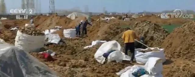 江苏东海多处农田遭私挖滥采石英石，监管部门视而不见 