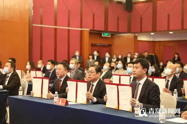 【项目落地看青岛】再创新高 西海岸实际利用外资增100.25%