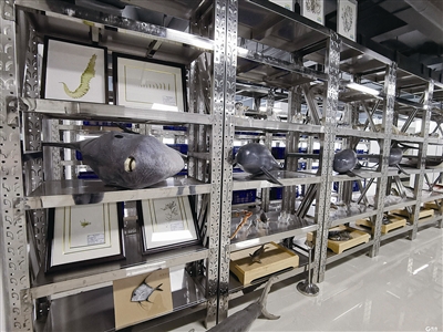 10余万份样品将入海洋渔业生物“资源库”