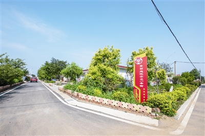 拿出青岛担当：打造乡村振兴齐鲁样板先行区