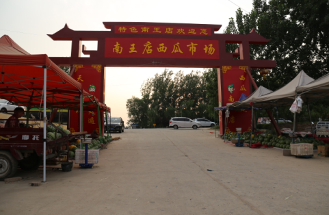 定陶区南王店镇王楼村：西瓜产业托举乡村振兴梦