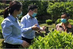 春风又绿江南岸 邮储点绿了这片山