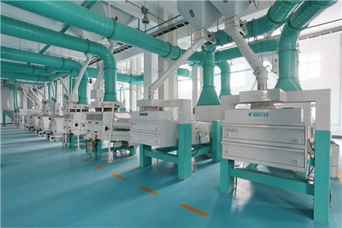 十月稻田稻花香米价格多少?性价比高,消费者品质之选