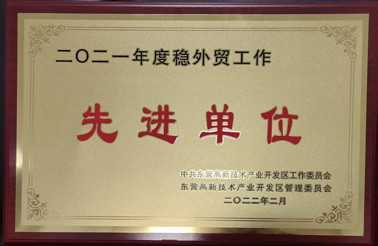 全年跨境电商贸易额达3.2亿 大龙网东营龙工场获评稳外贸先进单位