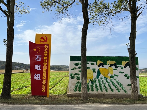  湖南长沙：乘东风搭快车，共绘“乡村振兴”壮阔画卷 