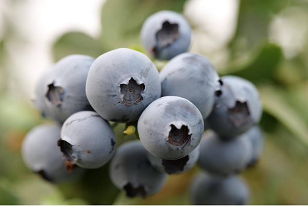 8图片 1.jpg 8图片 1.jpg