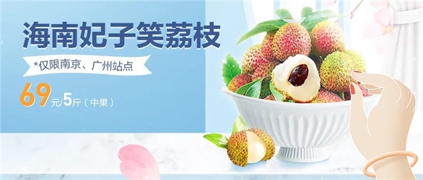  本来生活：海南妃子笑荔枝新鲜下枝，赏味期仅2个月 