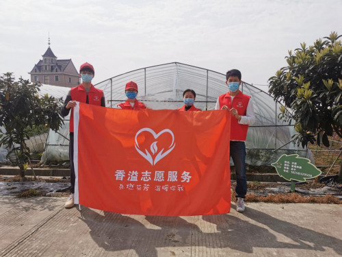 “莓”好时光采摘忙 “香溢”助农显担当