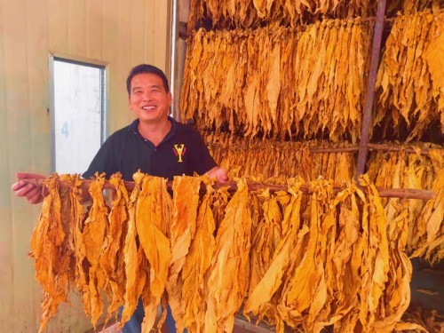 湖南衡阳市2022年烟叶收购圆满收官 烟农户均收入超20万元