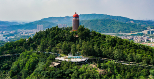 小荒山变大“绿肺”——探访民营国家级森林公园样本