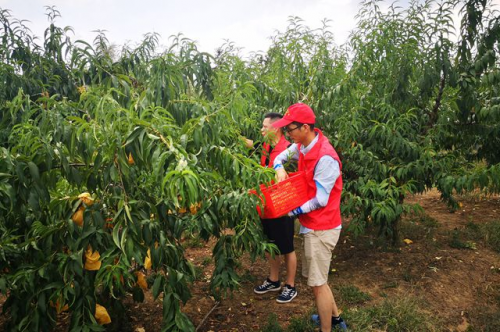 浙江嵊州市烟草专卖局：“香溢志愿”共绘为民服务“同心圆”