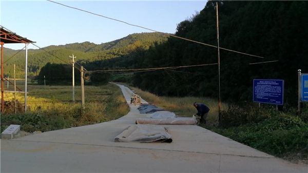 福建顺昌：七年帮扶结硕果 乡村振兴普新篇