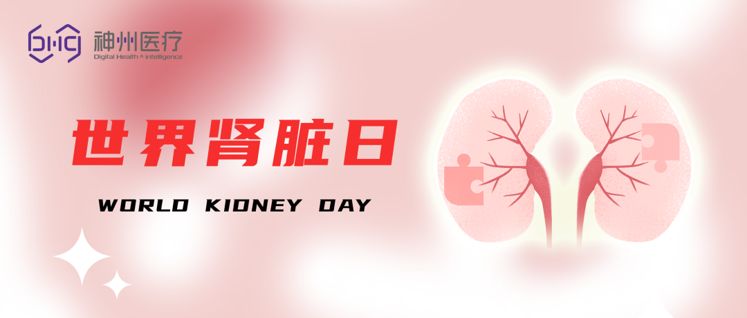 神州医疗：矢志创新 守护国民肾脏健康