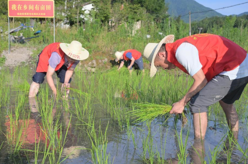 在八闽大地上同心共耕“希望田”