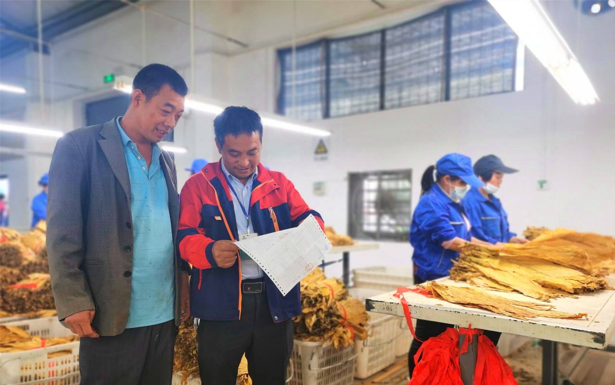 烟叶产业“致富答卷”成色足