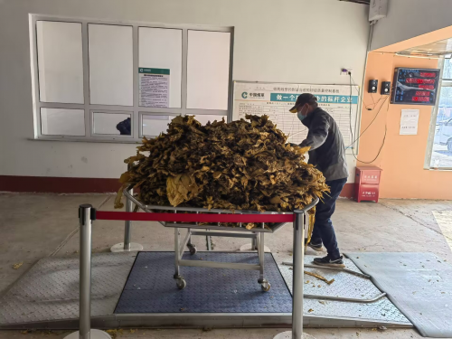 让党旗在基层烟站高高飘扬