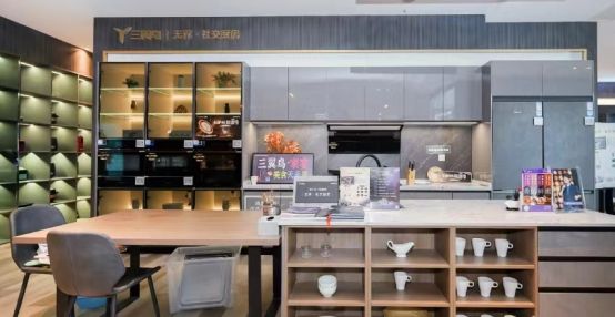 打造数字化专卖店！海尔专卖店两位数逆增领跑市场