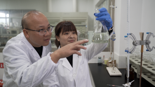 福建三明：肥好“金叶”香  质好烟农笑