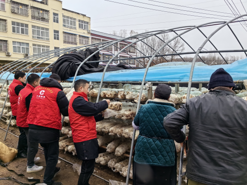 随县烟草专卖局（营销部）开展志愿助农活动