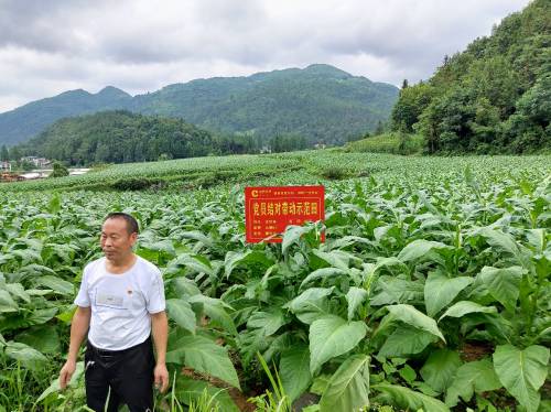 在希望的田野演绎精彩人生