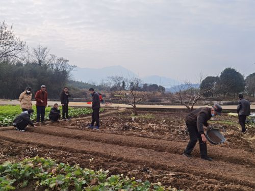 用心用情 “香溢”助农暖人心