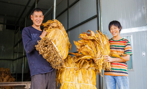 胡美华的“较劲”