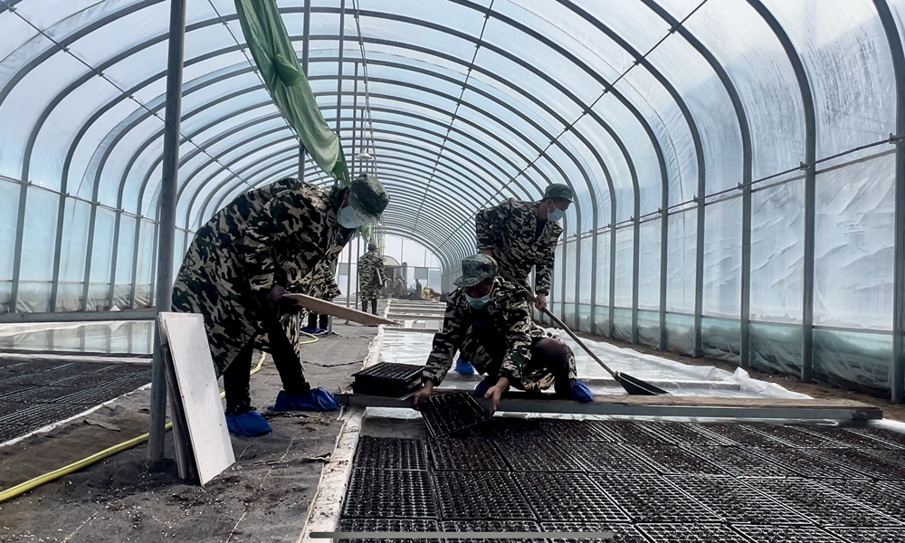 ​陕西咸阳烟草：迎雪而战保烤烟生产